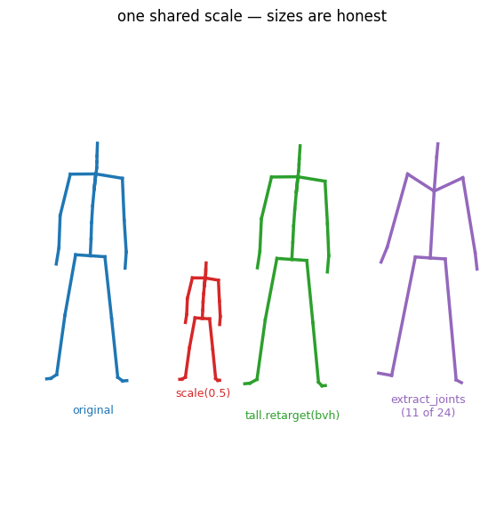scale